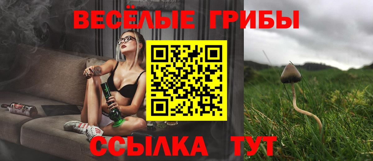 Галлюциногенные грибы Cubensis Сокол