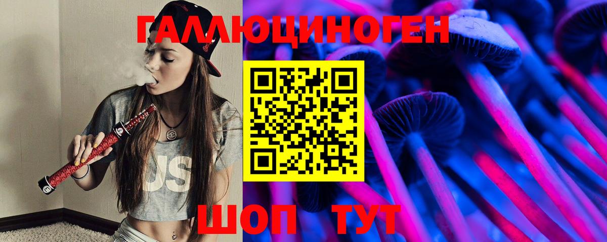 Сокол  Псилоцибиновые грибы Cubensis  Вход с VPN  купить   Псилоцибиновые грибы GOLDEN TEACHER 
